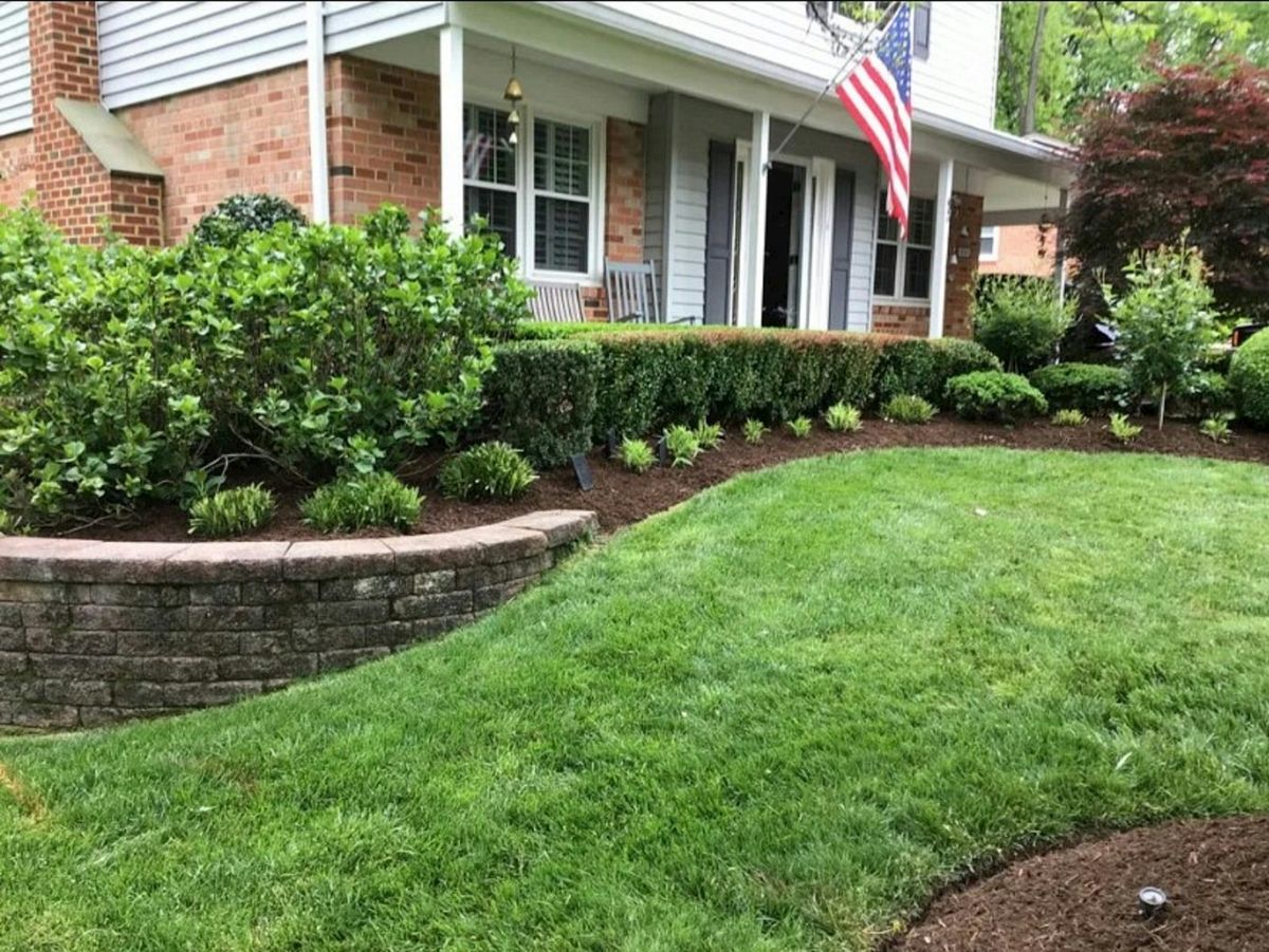 Mown lawn with trimmed shrubs and mulched planting beds at a suburban home